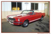 /album/galleria-fotografica/mustang-2-jpg/